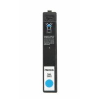 LX900e Cyan DYE ink cartridge
