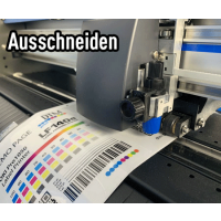 DTM LF140e Label Finishing System mit Touch-Screen PC, LED Licht und built-in Kamera