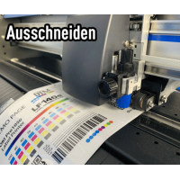 DTM LF140e Label Finishing System mit Touch-Screen PC, LED Licht und built-in Kamera